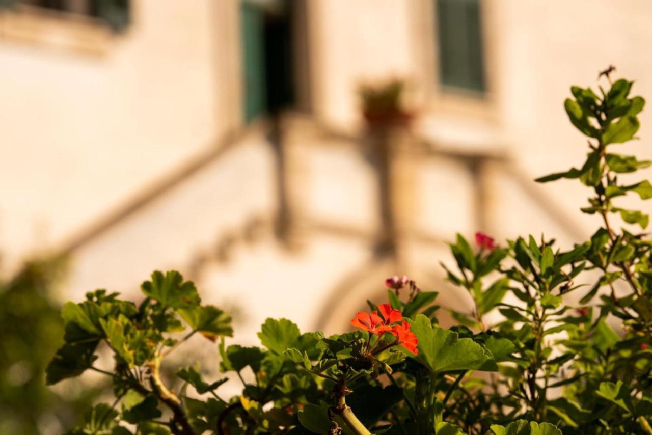 Villa Encantamiento - Dimora Gelsomino - Masseria Storica Nel Cuore Della Puglia Con Piscina Latiano Eksteriør bilde