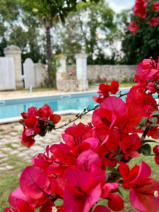 Villa Encantamiento - Dimora Gelsomino - Masseria Storica Nel Cuore Della Puglia Con Piscina Latiano Eksteriør bilde